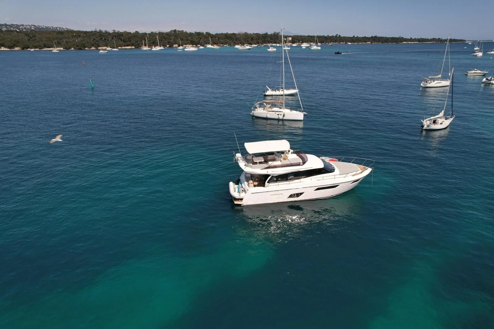 Greenline 45 Coupe - photo 11 yacht charter Cannes
